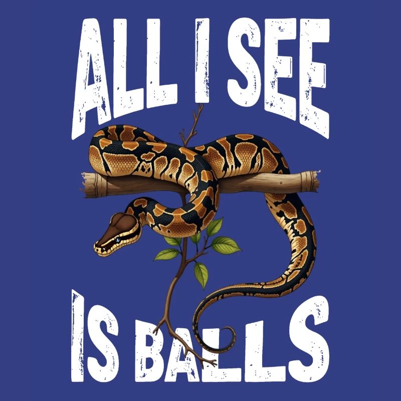 Python roi Serpents Amateurs de terrarium Python