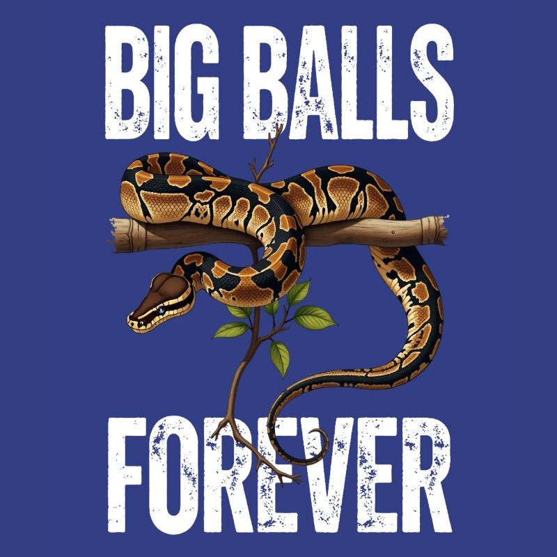 King Python Snakes Lover Terrarium Python