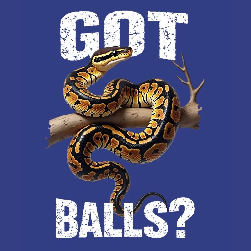 Python roi Serpents Amateurs de terrarium Python