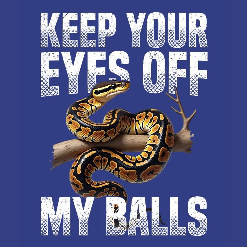 Python roi Serpents Amateurs de terrarium Python