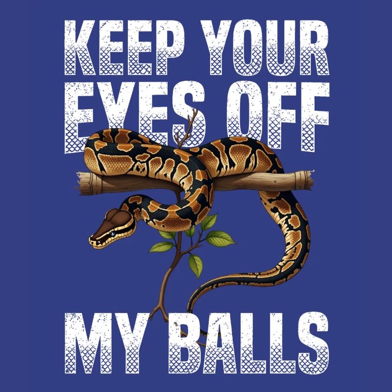 Python roi Serpents Amateurs de terrarium Python