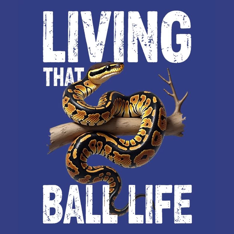 Python roi Serpents Amateurs de terrarium Python