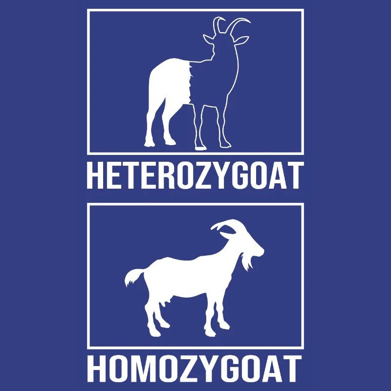 Molecule Structural Formula