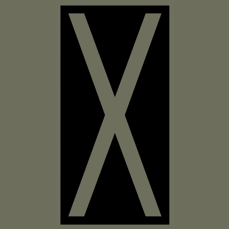 Rectangle X