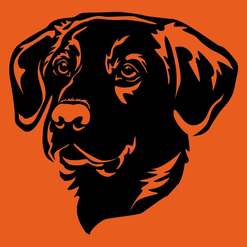 Labrador Head