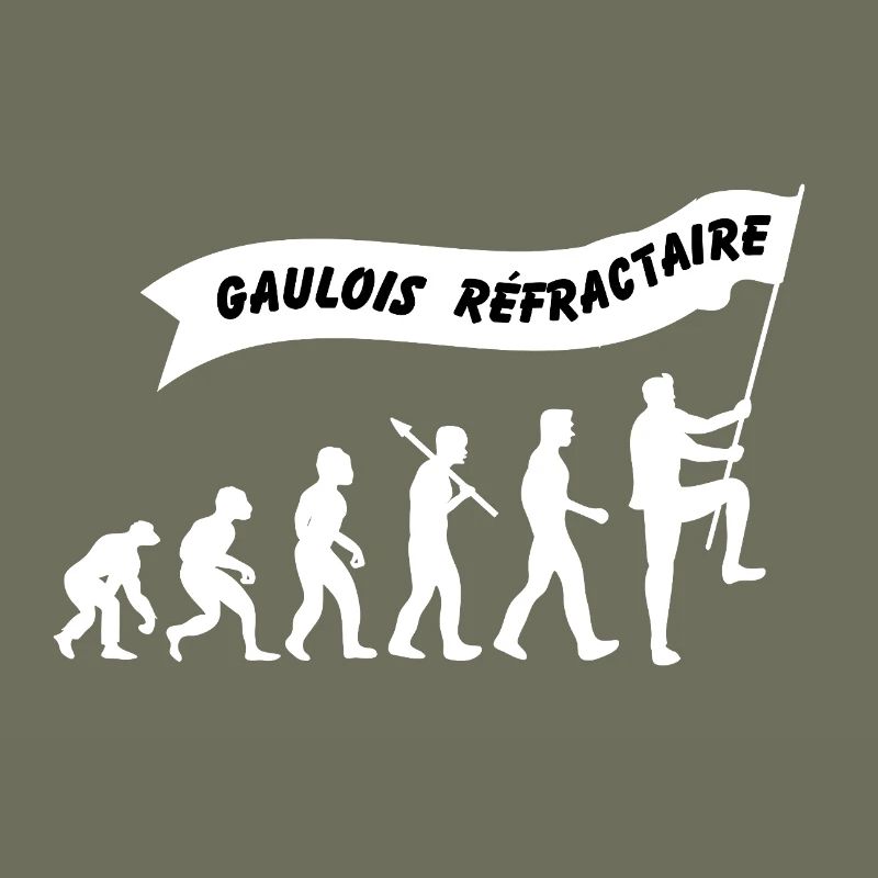 Evolution du gaulois réfractaire