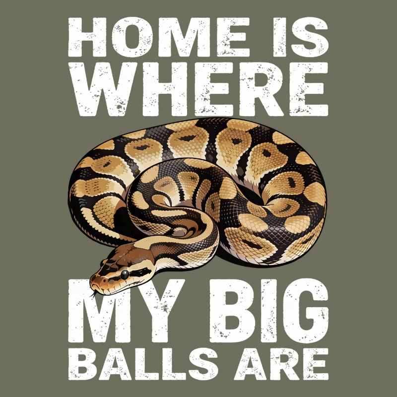 Python roi Serpents Amateurs de terrarium Python