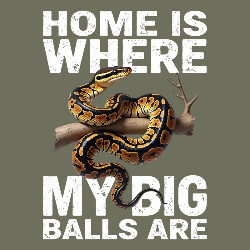 Python roi Serpents Amateurs de terrarium Python