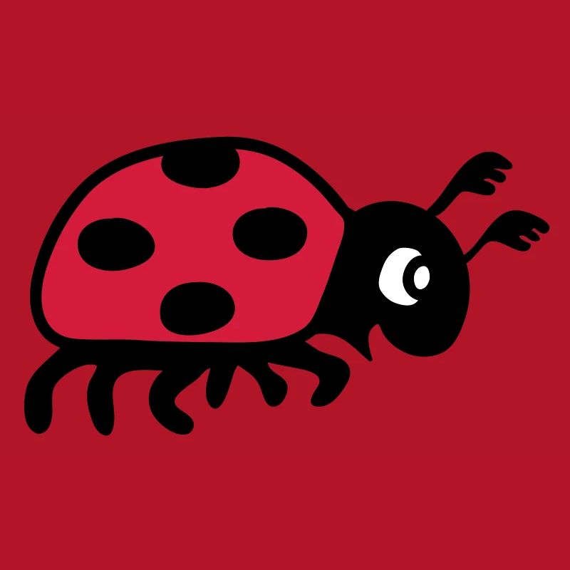 coccinelle coléoptère