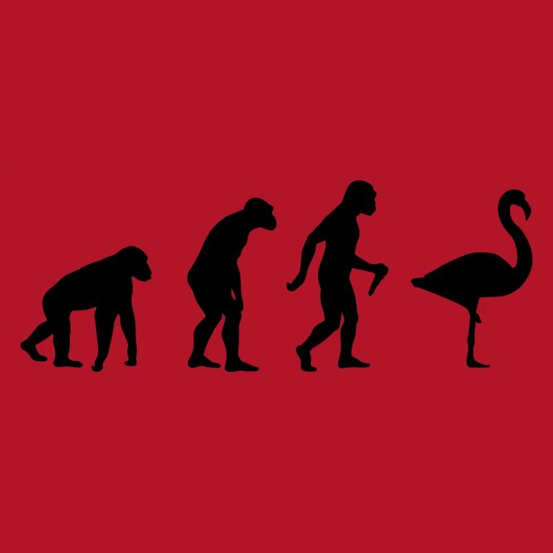 L'évolution du Flamant Rose