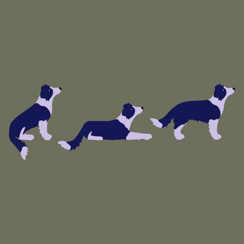 Sitz Platz Steh Border Collie Vektor