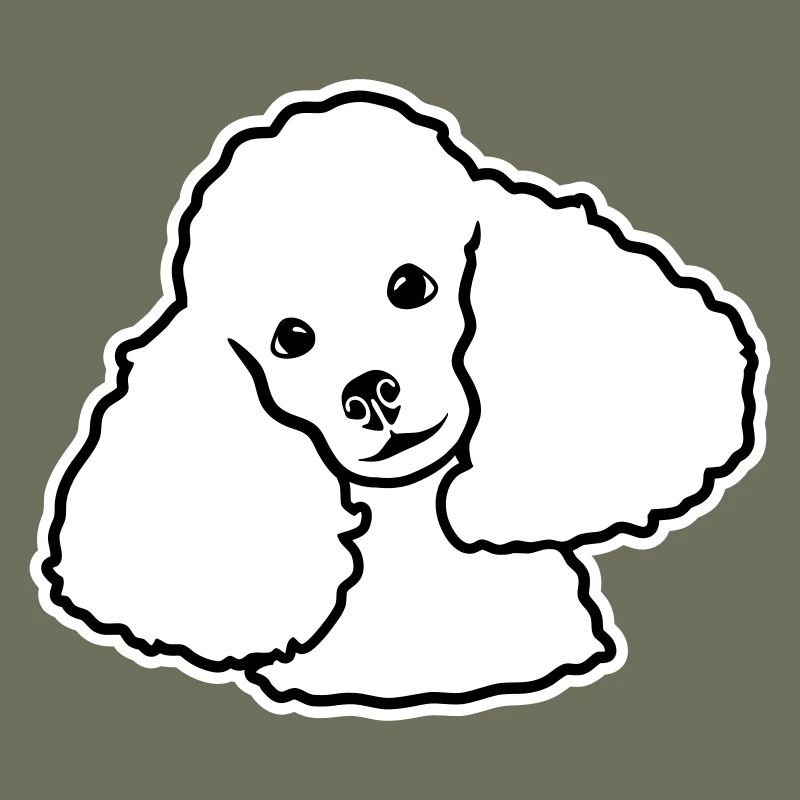 Caniche