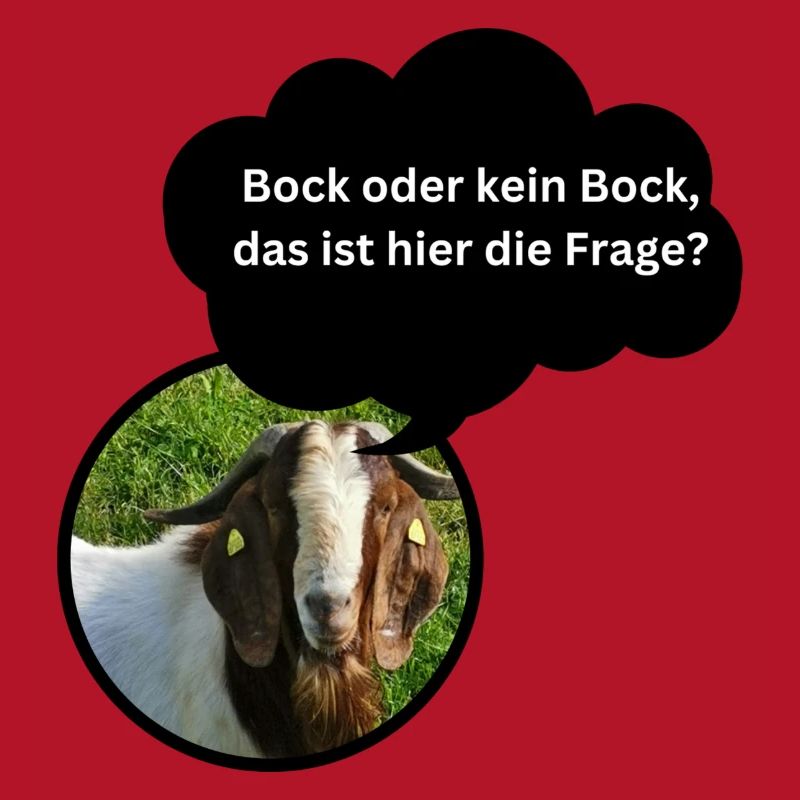 Fun Shirt "Bock oder kein Bock..."