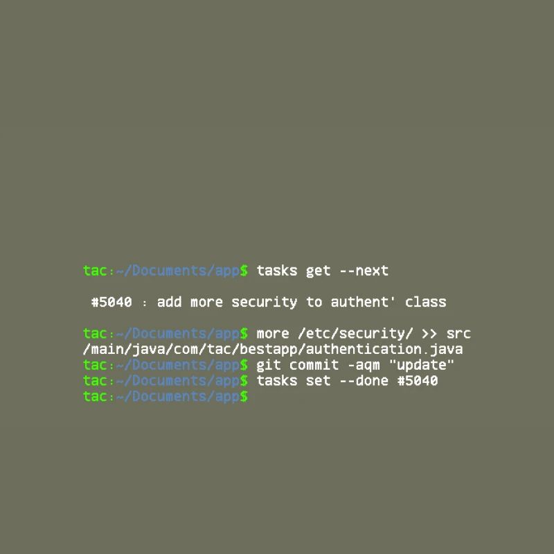 linux shell more security