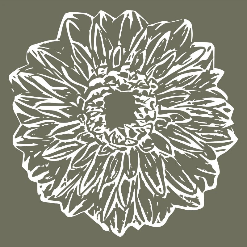 Fleur, Blanc, Fleur Blanche