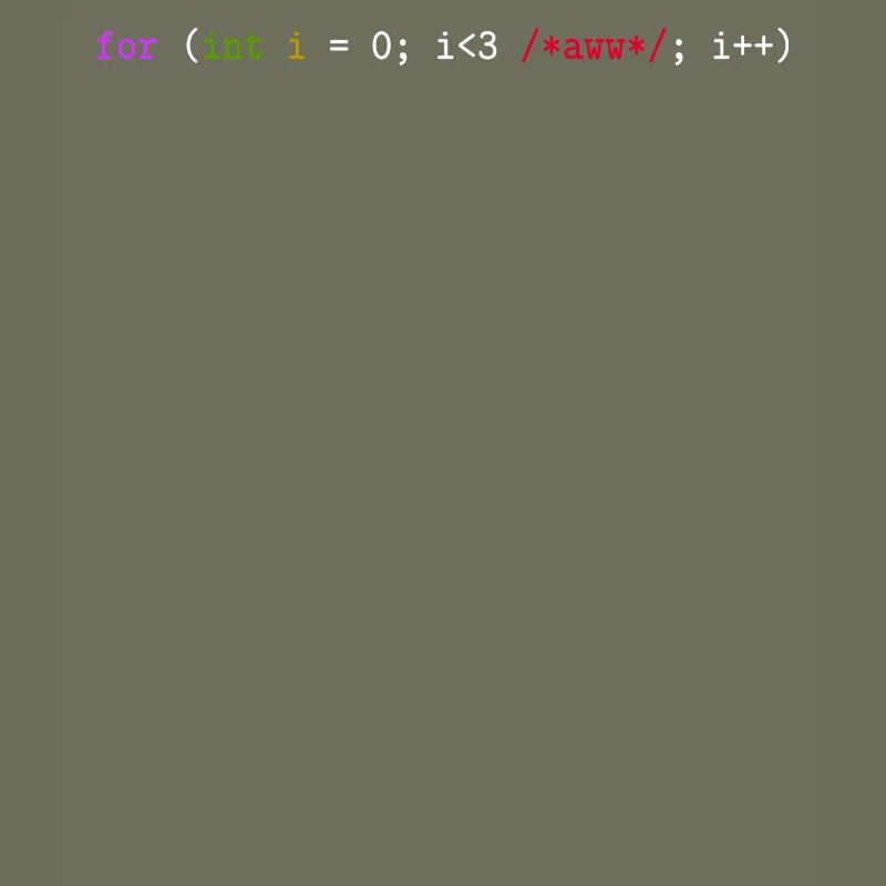 Programmierer, Software, Informatik, Developer