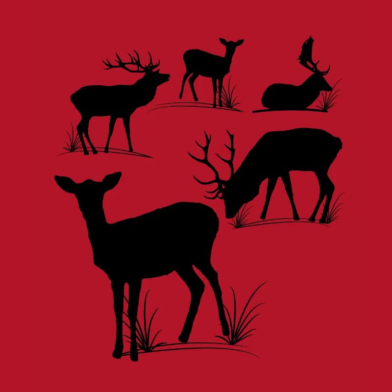 Deer, roe deer, fallow deer, fallow deer, roebuck