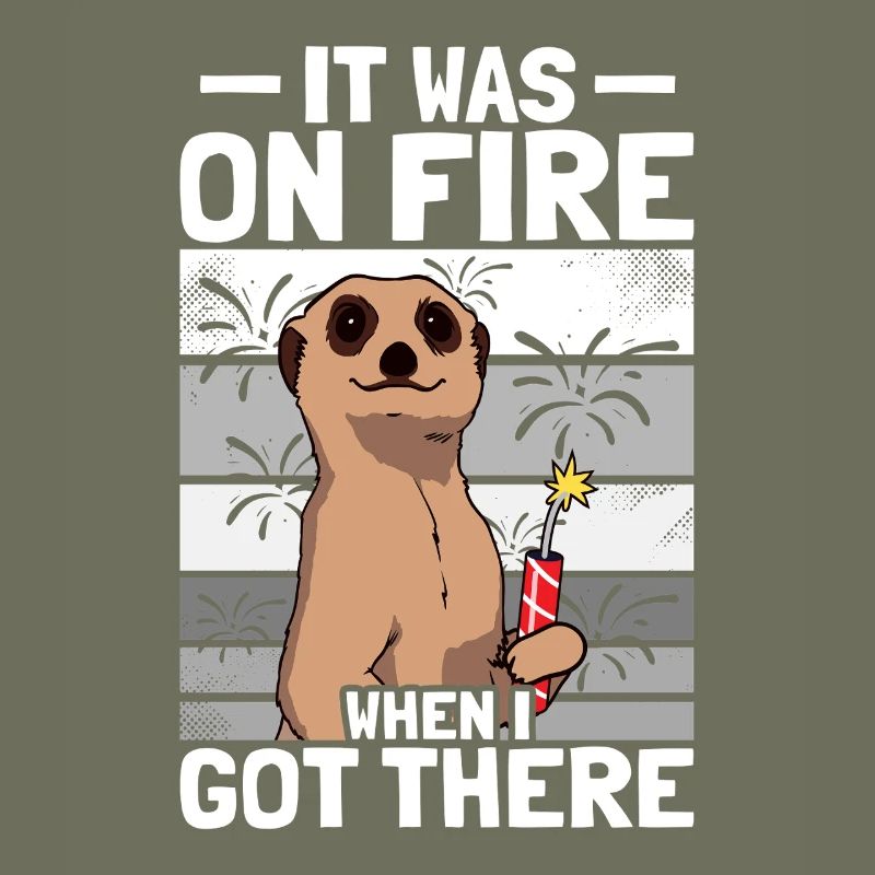 It was on fire: pyrotechnicians, firecrackers, fireworks