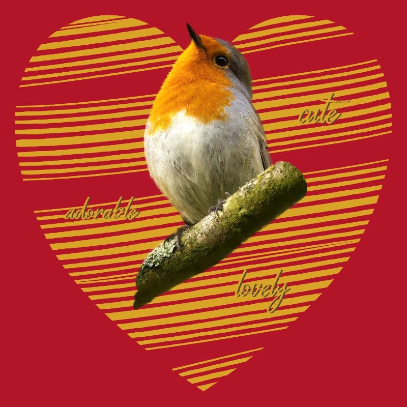 Rotkehlchen robin Erithacus rubecula
