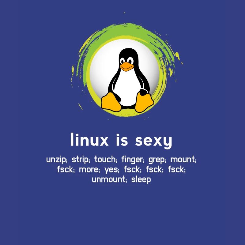 Computer System Pinguin Nerd pc inside code admin