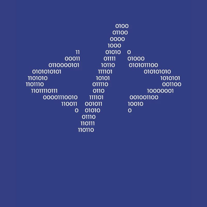 Hacker Code Informatique Java Rengaine Cadeau