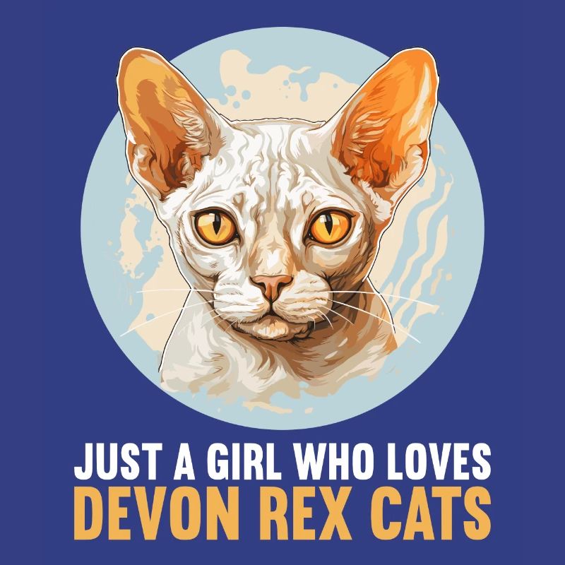 Devon Rex Kätzchen Devon Rex Katze