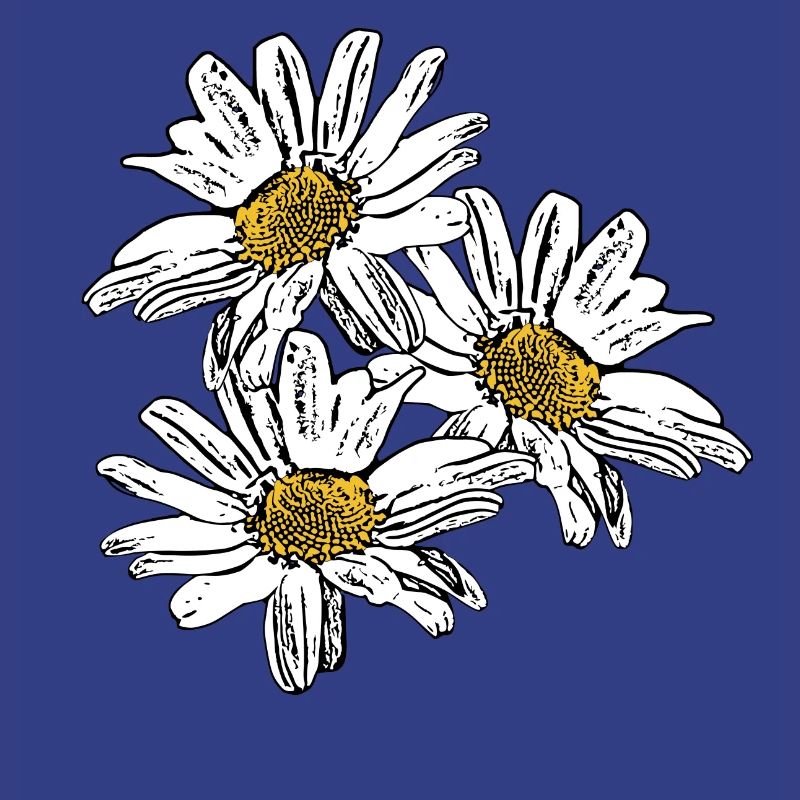 Fleur Fleur Blanche Fleurs Blanches Fleurs Blanches
