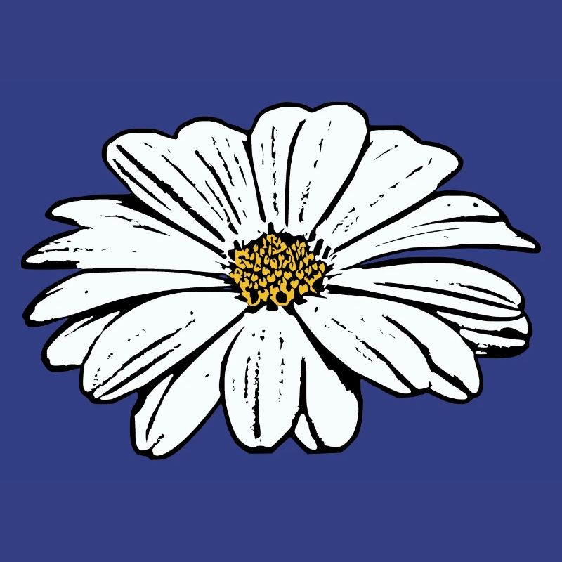 Fleur Blanche Fleurs Blanches Fleurs Blanches Fleurs Blanches