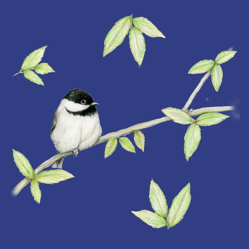 Eine Bleistiftzeichnung eines Mattenkopfes oder Glosskopfes