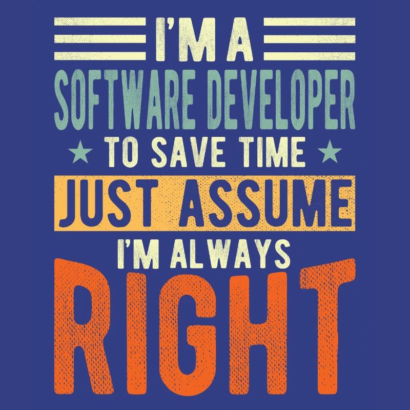 Software developer