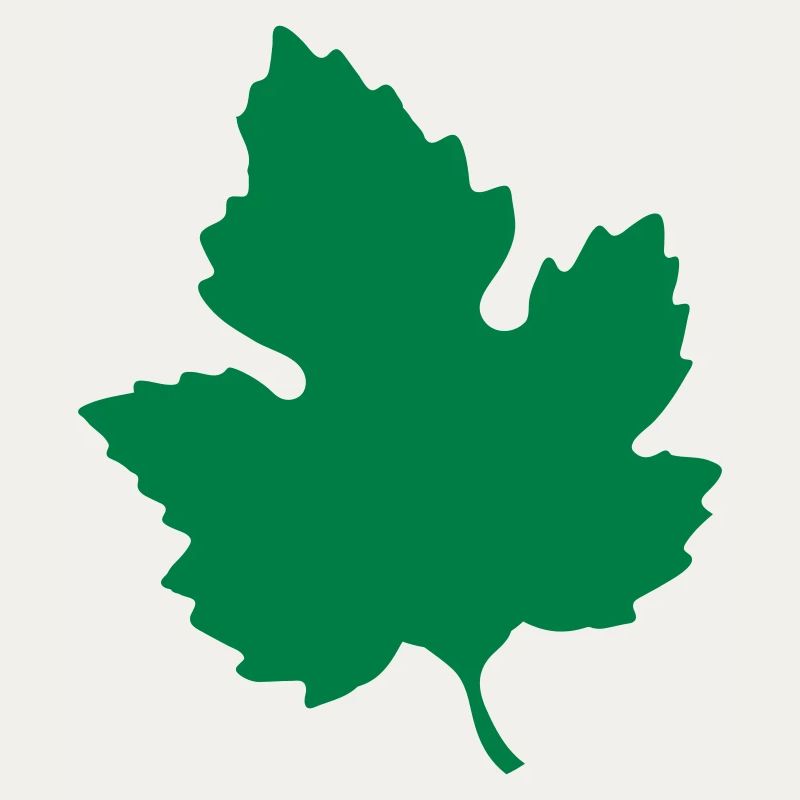 feuille