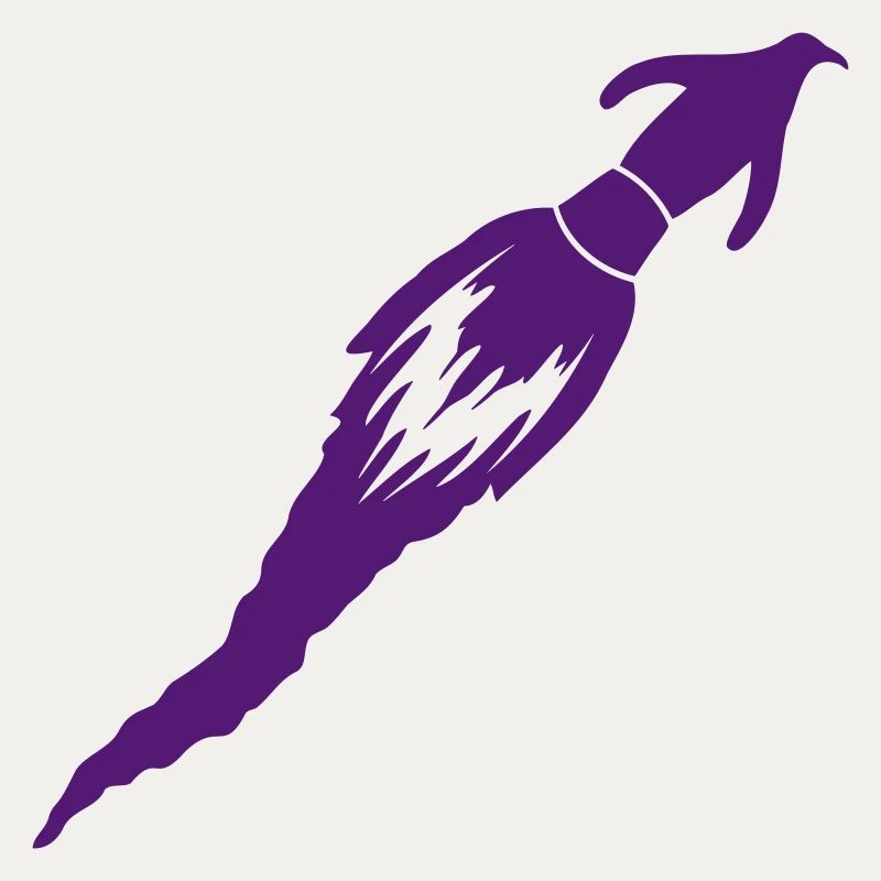 Funny Penguin Rocket Fire Fun Flight Flying