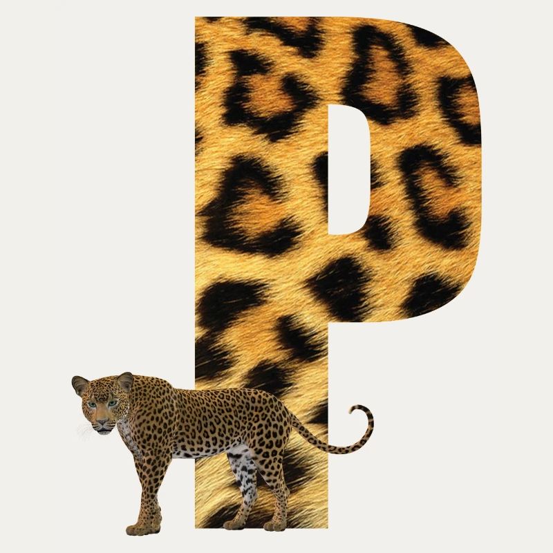 leopard p