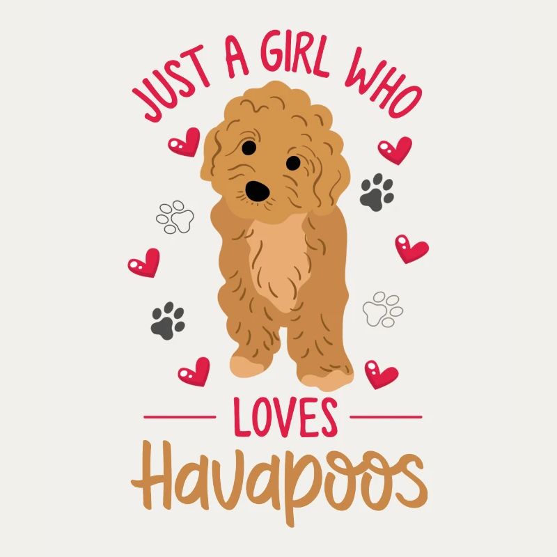havapoo, havapoo havapoo mother, Havanese,