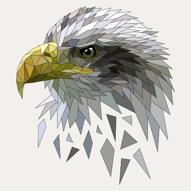 White-tailed eagle low poly polygons geometric