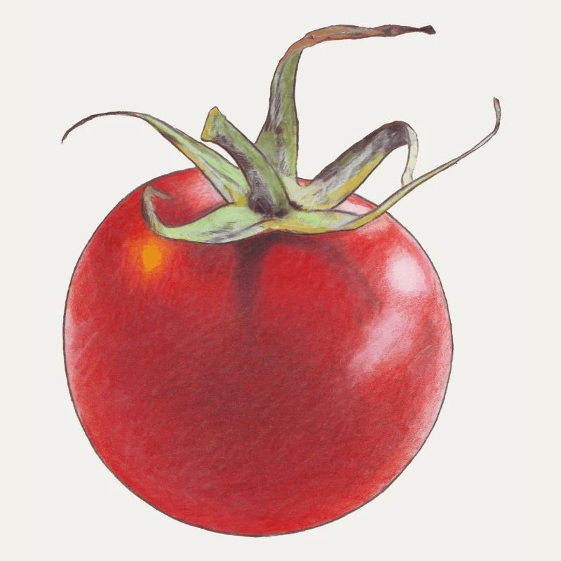 Tomate