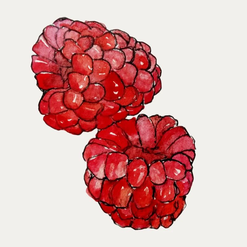 Himbeeren