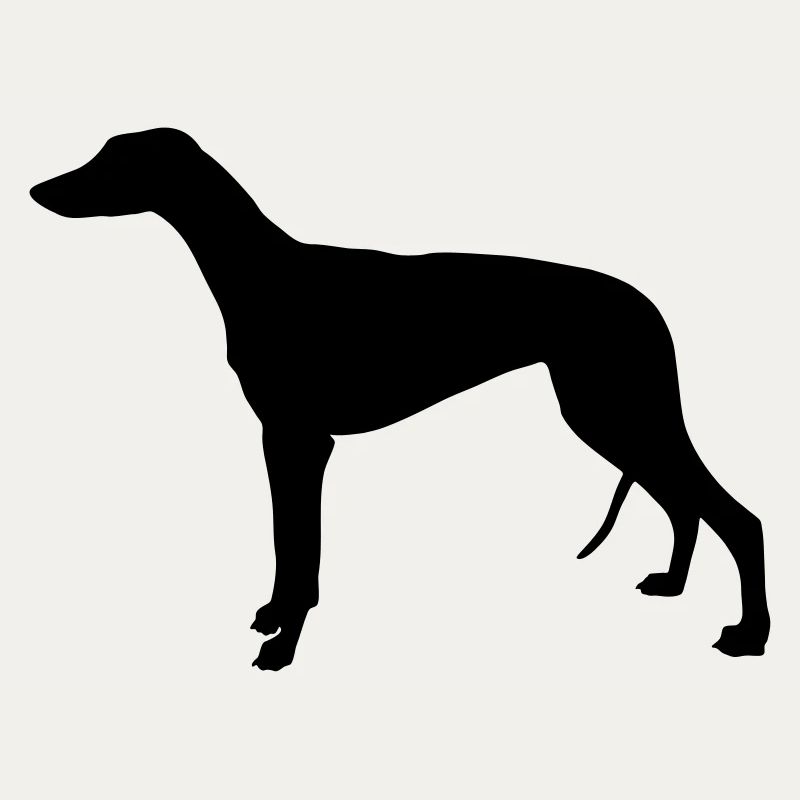 Greyhound