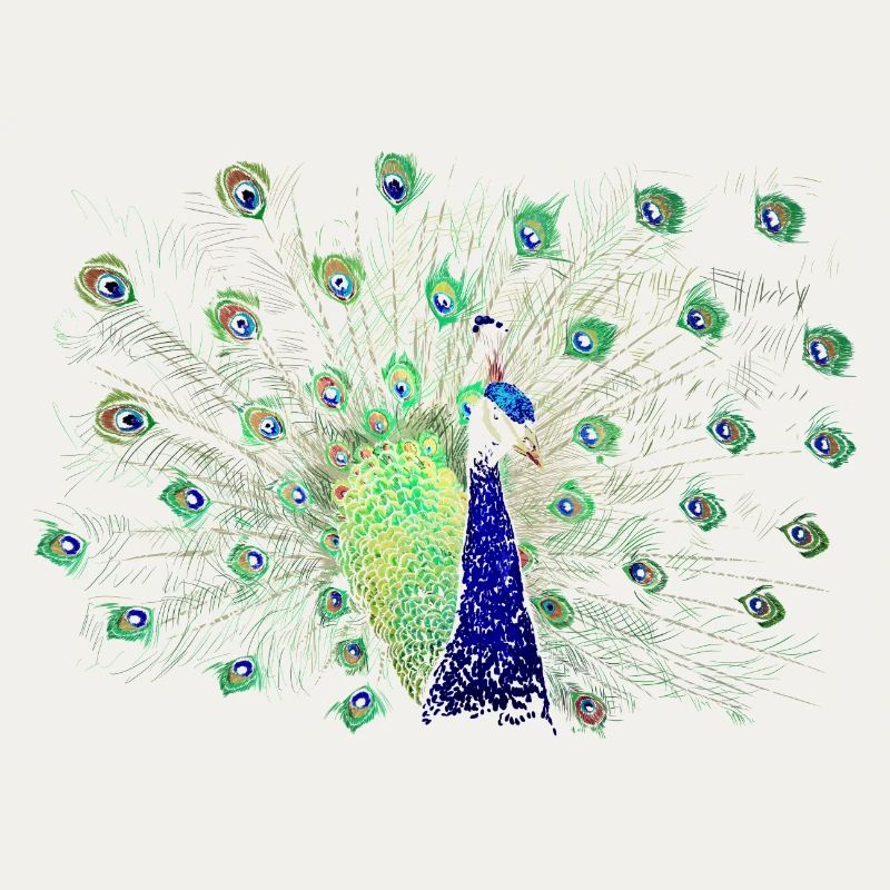 Pfau