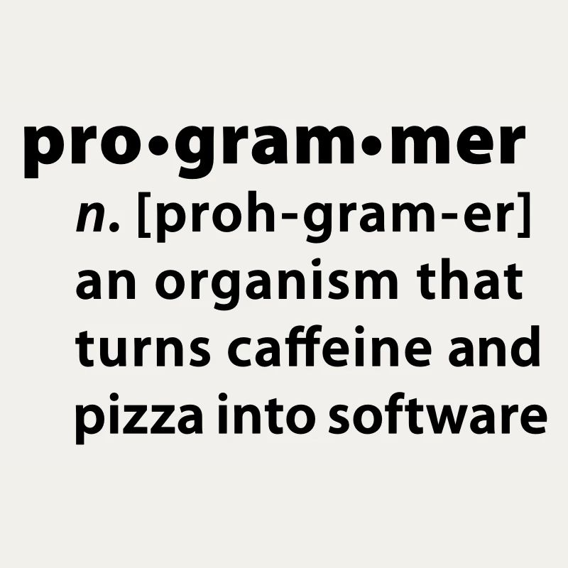 Programmdefinition - die Definition Programmer