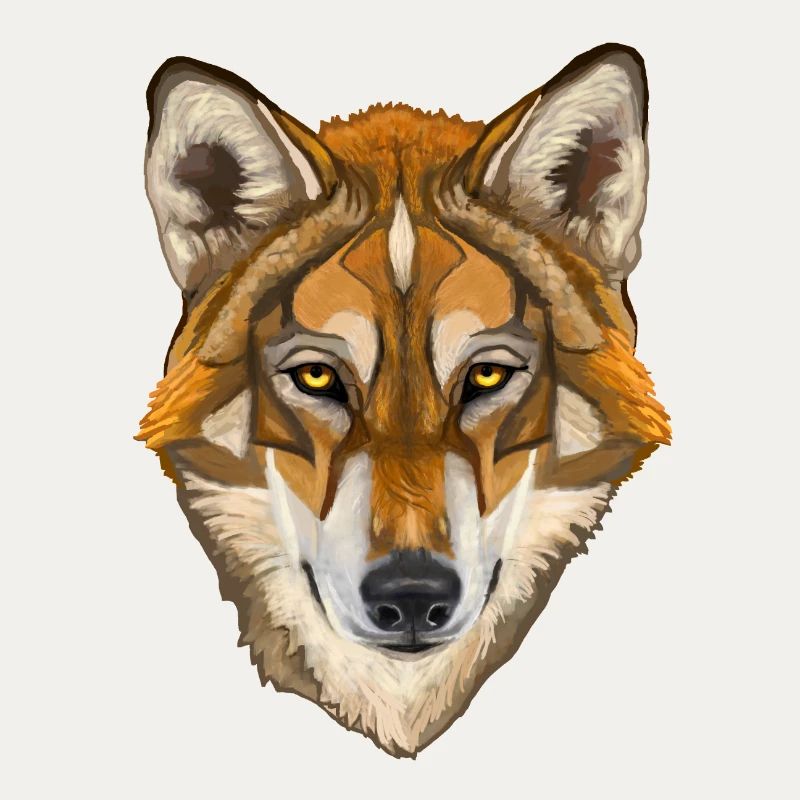 wolf