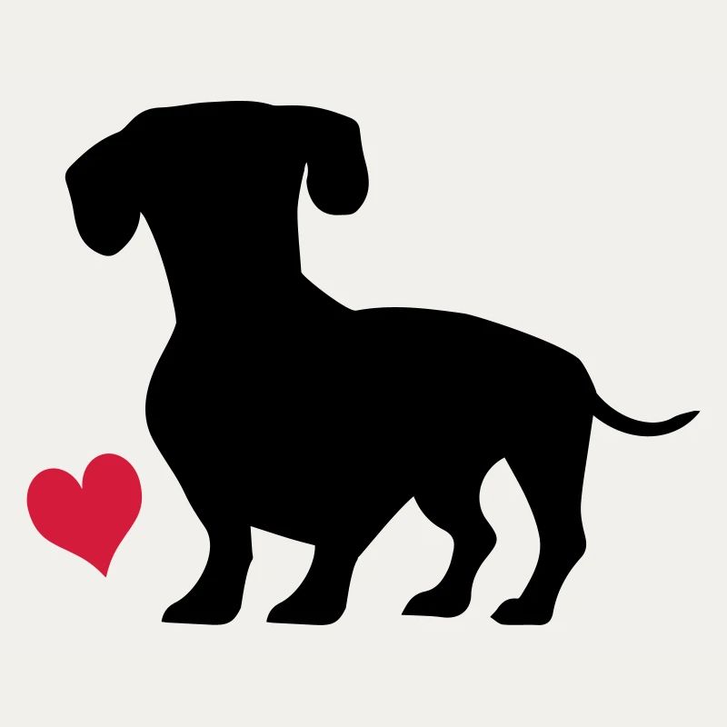 dachshund