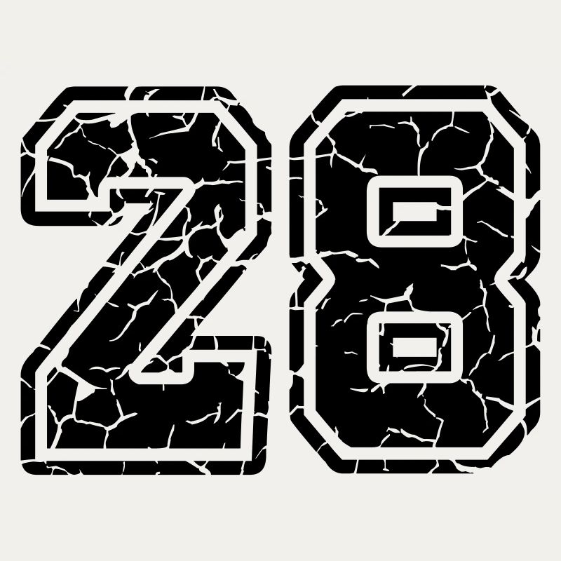 28