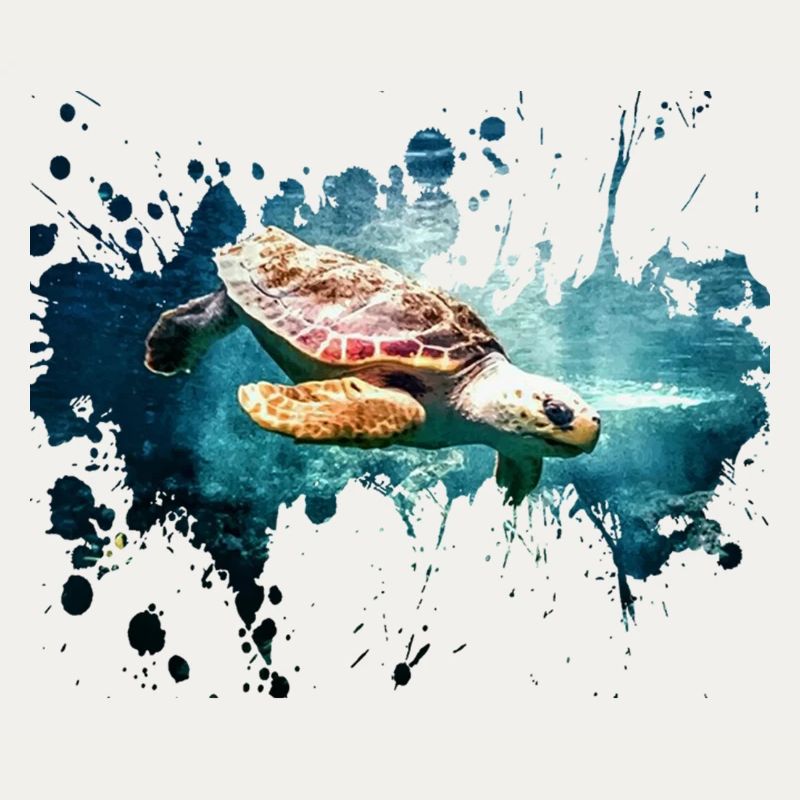 Turtle splash