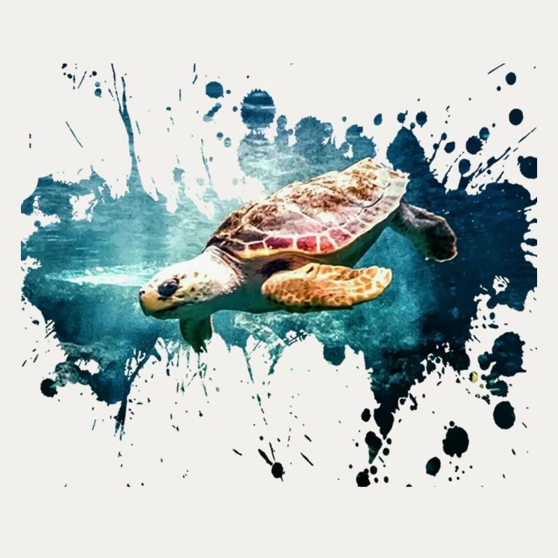 Petcontest turtle