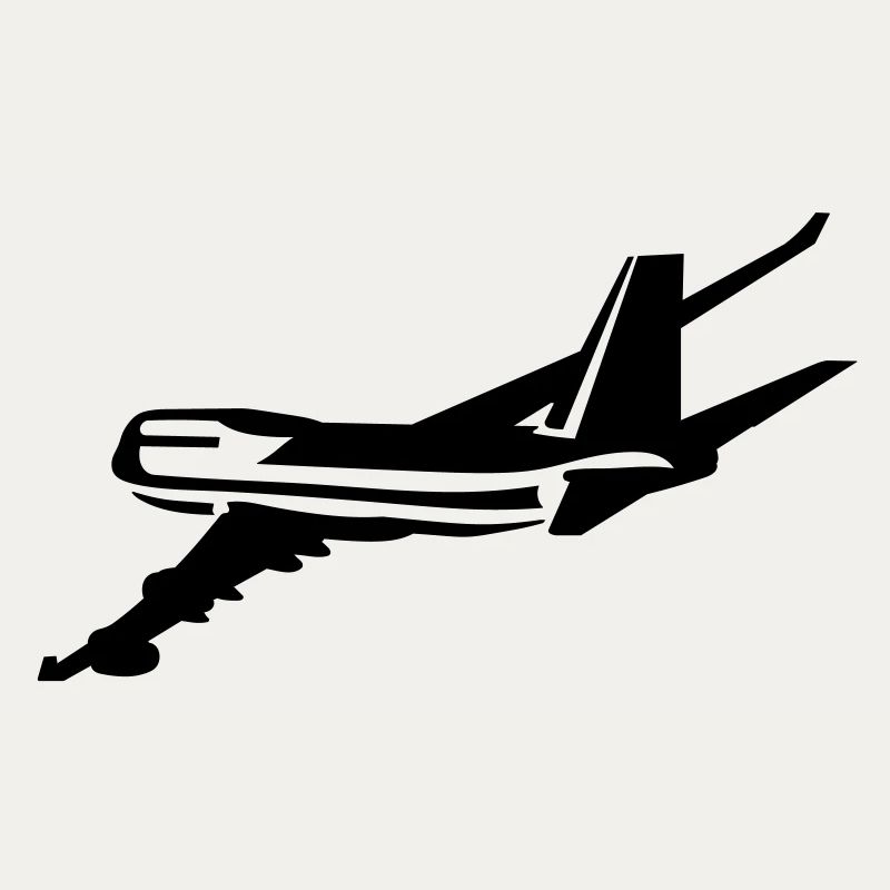 Passagierflugzeug