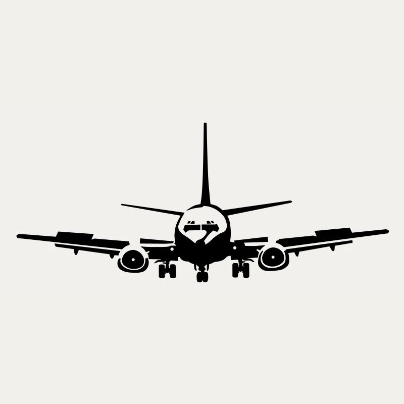 Passagierflugzeug