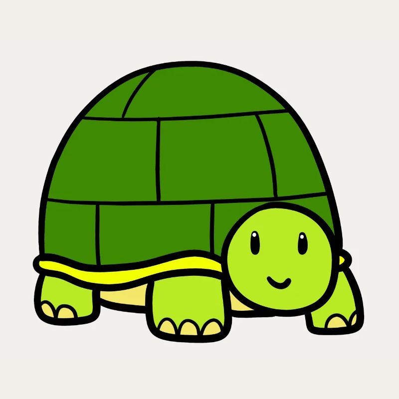 Little turtle
