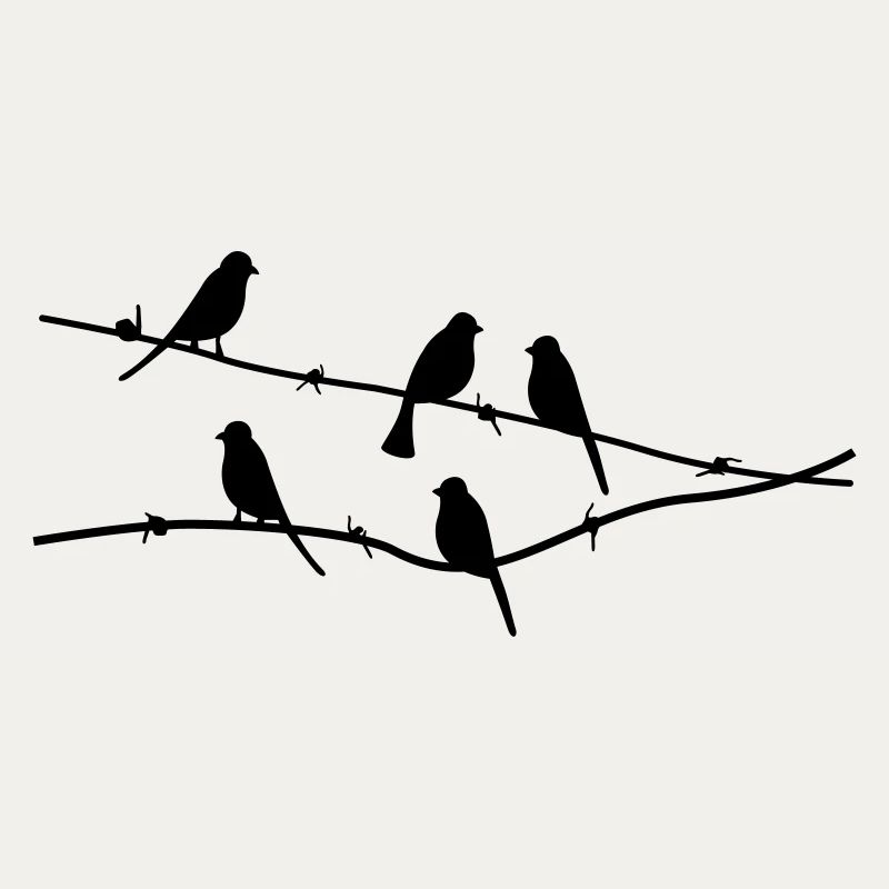 oiseaux
