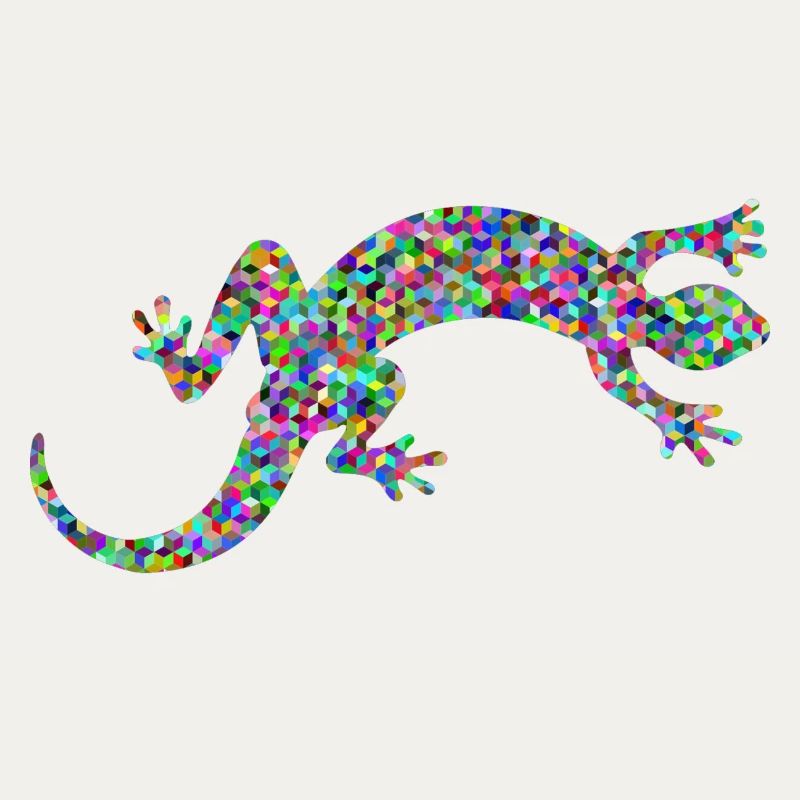 Gecko, Salamander, patterncontest